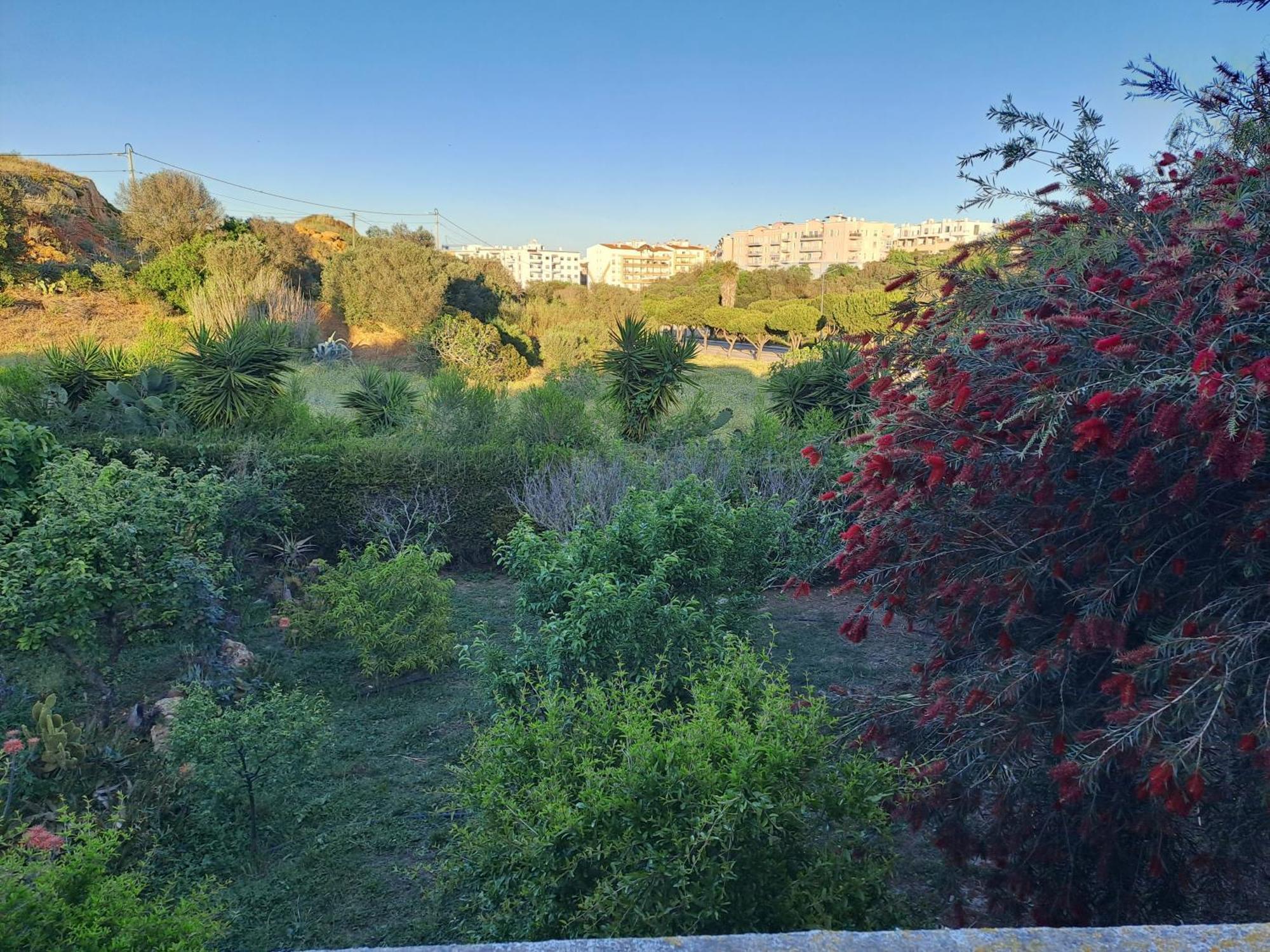 Av Fonte Coberta, Lagos, Villa Fonte Coberta Esterno foto